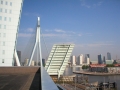 Stadswonen Rotterdam/SSH (zinkwerk)